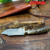 DeerHorn Mini Hunter