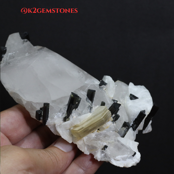 Schorl “Black Tourmaline” with MICA Specimens