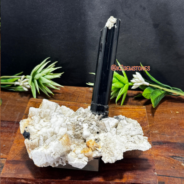 schorl (Black Tourmaline) specimen