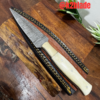 Damascus Steel Knife with Camel Bone