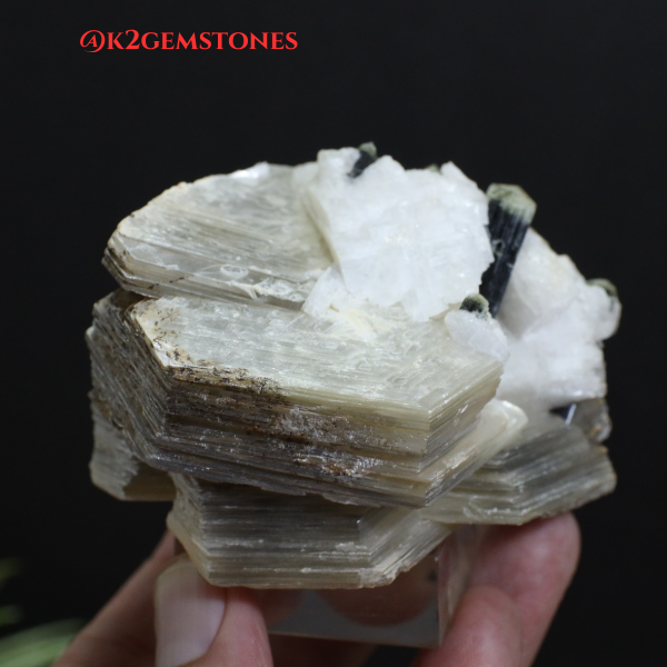 Schorl “Black Tourmaline” with MICA Specimens