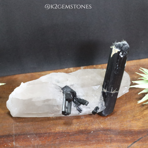 Schorl with Quartz Crystal Specimens