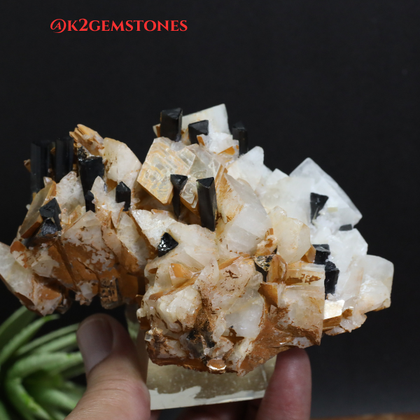 Schorl “Black Tourmaline” with MICA Specimens
