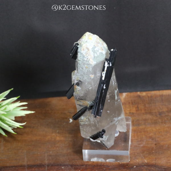 Schorl with Quartz Crystal Specimens