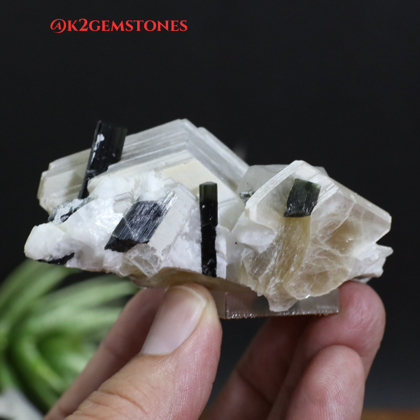 Schorl “Black Tourmaline” with MICA Specimens