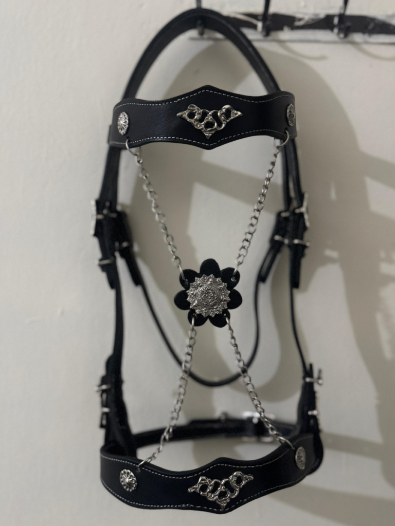 Horse Accessories