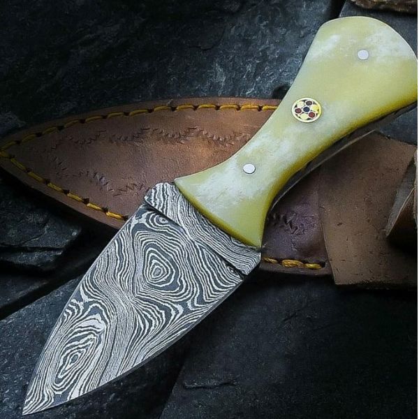 Pale handle field knife